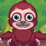 Тесты: Зверушка Из Джунглей