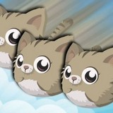 Котята Могут Летать