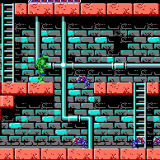 Mutant Ninja Turtles