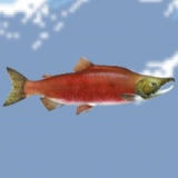 Salmonz.io | Лосось ио
