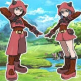 Pokemon Team Magma Edition