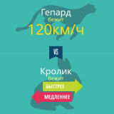 Вопрос-Ответ