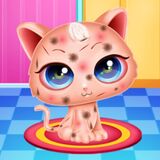 Уход За Милой Кошечкой