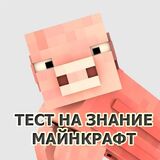 Тест На Знание Майнкрафт