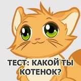 Тест: Какой Ты Котенок?