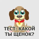 Тест: Какой Ты Щенок?