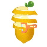 Идеальная Чистка