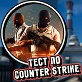 Тест по Counter Strike