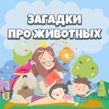 Познавательные Задачки Про Животных