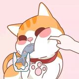 Головоломка Счастливого Кота
