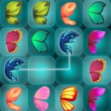 Butterfly Match Mastery