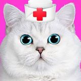 Доктор Для Домашней Кошки