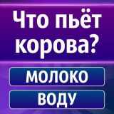 Викторина: Битва Умов