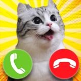 Комару Кот